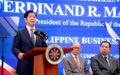 <p>President Ferdinand R. Marcos Jr.<em> (PCO photo)</em></p>