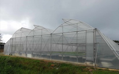 <p><strong>ELECTRIFICATION</strong>. The greenhouses are among the features of the demonstration farm for high-value crops in Sitio Gahit, Aningalan, San Remigio, Antique. Antique provincial board member Karmila Rose Dimamay said during their Monday (July 31, 2023) session that electrification is needed to fully operationalize the greenhouses. (<strong><em>PNA file photo</em></strong>)</p>