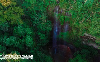 <p><strong>PICTURESQUE</strong>. Lulugayan Falls, a 30-meter tall and imposing waterfall inside a dense forest in Silvino Lubos town. The Northern Samar provincial government is preparing local tourism stakeholders for the influx of tourists in the province as insurgency dwindled this year. (<em>Photo courtesy of Northern Samar provincial information office</em>)</p>
<p> </p>
