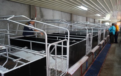 DA’s swine multiplier facilities to aid Iloilo recover from ASF