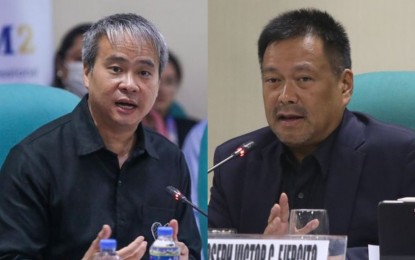 <p>Senate Majority Leader Joel Villanueva and Senator Joseph Victor Ejercito <em>(Courtesy of Senate of the Philippines)</em></p>