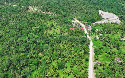 <p><strong>BETTER ROAD.</strong> Drone shot of the foreign-funded farm-to-market road in Jaro, Leyte. The infrastructure is funded under the Rural Agro-Enterprise Partnership for Inclusive Development and Growth (RAPID Growth) project. <em>(Photo courtesy of Jaro local government)</em></p>