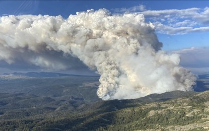 <p><strong>BURNING UP. </strong>Canada warns Friday (Aug. 11, 2023) that it will experience "significant fire activity" in the coming days. To date, Canada posted 5,500 wildfires consuming 13.4 million hectares.  <em>(Anadolu)</em></p>