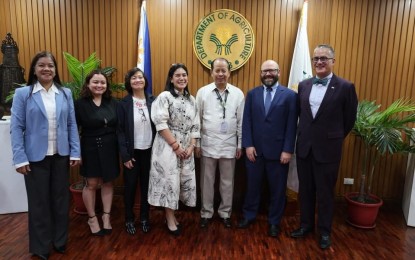 <p><strong>AGRICULTURAL COOPERATION. </strong>Department of Agriculture (DA) officials headed by Senior Undersecretary Domingo Panganiban (5th from left) welcome <span class="s1">United States Department of Agriculture (USDA) officials </span><span class="s1">Agricultural Counselor Michael Ward and Agricultural Attaché Mark Hanze </span>during a courtesy visit on Monday (Aug. 14, 2023) at the DA’s main office in Quezon City. During the courtesy visit by USDA representatives, Panganiban shared the department’s priority programs under the leadership of President Ferdinand R. Marcos Jr. <em>(Photo courtesy of DA)</em></p>