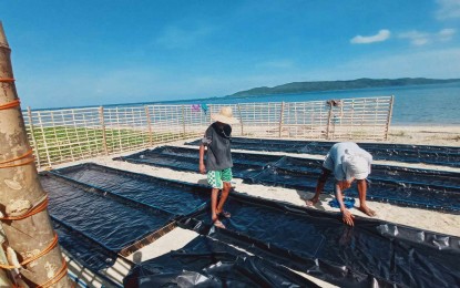 <p><strong>SOLAR SALT TECHNOLOGY.</strong> Undated photo shows salt producers in Central Luzon adopting solar salt technology that not only boosts productivity but also promotes environmental sustainability. The Department of Agriculture-Bureau of Fisheries and Aquatic Resources (BFAR) has provided salt producers in Aurora and Zambales with solar salt packages that could help revitalize the salt industry in the region. <em>(Photo courtesy of BFAR-Central Luzon)</em></p>