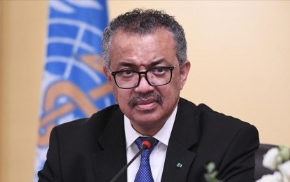 <p>WHO chief Tedros Adhanom Ghebreyesus</p>