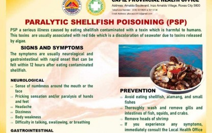 Suspected red tide toxin kills boy, downs 31 in Capiz