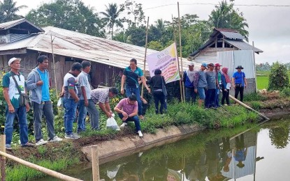 <p><strong>CONVERGENCE FOR IRRIGATORS.</strong> Some 3,500 tilapia fingerlings are released during the launching of the Stocking Technology Demonstration of Tilapia Cultured Pond by the National Irrigation Administration in the Caraga Region and the Bureau of Fisheries and Aquatic Resources-Caraga in Barangay Saguma, Bayugan City, Agusan del Sur on Friday (Aug. 25, 2023). The project will directly benefit 3,177 members of 24 irrigators associations from Bayugan City and Esperanza town in Agusan del Sur. <em>(Photo courtesy of NIA-13)</em></p>