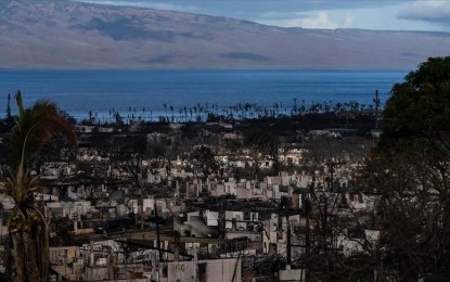 Maui releases list of 388 missing from Hawaii wildfires
