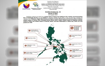 Red tide alert up in Bohol, Capiz, Iloilo, Aklan, Zambo del Sur