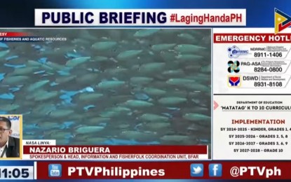 LGUs now more proactive in protecting bodies of water - BFAR