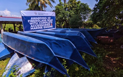 <p><strong>INCREASING FISH PRODUCTION</strong>. Some 15 units of 30-footer fiberglass reinforced plastic (FRP) boats with complete accessories and 16 horsepower (HP) marine engine awarded to fisherfolk in Paracale, Camarines Norte on Aug. 25, 2023. The grants came from the Office of Sen. Juan Edgardo "Sonny" Angara through the Bureau of Fisheries and Aquatic Resources-Bicol. <em>(Photo courtesy of BFAR-Bicol)</em></p>