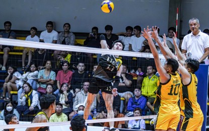 <p><strong>IMPORTANT WIN</strong>. University of Santo Tomas outside hitter Josh Ybañez soars for a smash during the 2023 Men's V-League Collegiate Challenge against Far Eastern University at Paco Arena in Manila on Sunday (Sept. 3, 2023). The Tiger Spikers won, 25-22, 26-24, 20-25, 25-18, to secure a semifinal seat. <em>(Photo courtesy of V-League)</em></p>