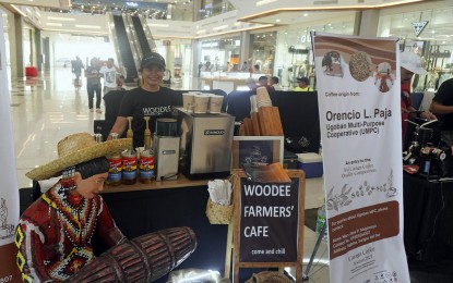 <p><strong>COFFEE FESTIVAL.</strong> At least 12 Robusta coffee farmers’ associations in Region 13 take part in the weeklong 2nd Caraga Coffee Festival on Sept. 2 to 8, 2023 in Butuan City. The activity aims to showcase the Robusta coffee products of the region and open more markets and business opportunities for farmers.<em> (Photo courtesy of DTI-13)</em></p>