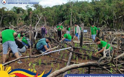 <p><strong>REFORESTATION.</strong> Volunteers plant trees in Guirang village in Basey, Samar in this June 24, 2023 photo. The Office of the Vice President (OVP) is eyeing to plant 100,000 indigenous trees in Eastern Visayas by 2028 under its massive tree planting program. <em>(Photo courtesy of OVP)</em></p>