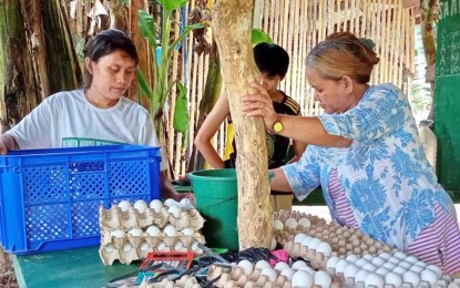 <p><strong>GOV'T AID</strong>. Undated photo shows members of a group producing eggs in Calbayog City, Samar. Some 114 farmers' groups in Eastern Visayas are listed as recipients of the Department of Agriculture – Special Area for Agricultural Development that will be given further marketing and enterprise support to boost their production. <em>(Photo courtesy of DA-Region 8)</em></p>