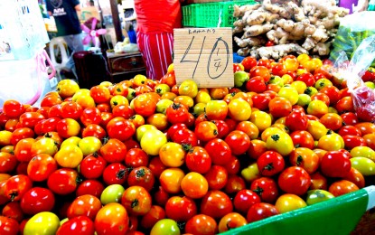 <p style="text-align: left;"><strong>PEAK PRICE.</strong> Tomatoes sell at PHP160 per kilo at Pasig Mega Market in September 2023. The Department of Agriculture on Tuesday (July 2, 2024) said it expects tomato prices to go down in one to two weeks following the influx of newly harvested tomatoes in public markets. <em>(PNA photo by Ben Briones)</em></p>