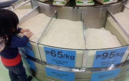<p><strong>PREMIUM RICE.</strong> Most large retailers today sell only "premium" rice varieties that are not subject to price controls, such as those photographed at a supermarket in Antipolo City Thursday (Sept. 7, 2023). Steven Cua, president of the Philippine Amalgamated Supermarkets Association said on Saturday (Sept. 9) that the beginning of harvest season heralds lower rice prices. <em>(PNA photo by Miguel Gil)</em></p>