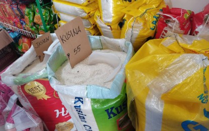 <p><strong>RICE SUBSIDY.</strong> The Department of Social Welfare and Development in Negros Oriental will be giving out PHP 15,000 cash aid to some 61 retailers affected by the government's price ceiling implementation on regular and well-milled rice on Thursday (Sept. 14, 2023). Premium and special rice are not covered by the price cap. <em>(PNA photo by Judy Flores Partlow)</em></p>