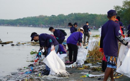 <p><strong>CLEANUP.</strong> Participants collect trash along the coastal area of Barangay Tanza Uno, Navotas City during the cleanup drive led by the Bureau of Fisheries and Aquatic Resources on Saturday (Sept. 16, 2023) to mark this year's International Coastal Cleanup Day. The bureau urged the public to cooperate in keeping waste-free bodies of water to ensure a thriving fisheries industry.<em> (Photo from BFAR's FB)</em></p>