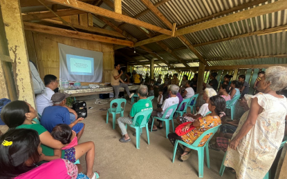 <p><strong>WELL-ROUNDED SUPPORT</strong>. Instructors of the Department of Agriculture (DA) Calabarzon (4-A) conduct a seminar on organic vegetable production and botanical concoctions for Indigenous Peoples in the region on Sept. 12, 2023. DA 4-A said on Wednesday (Dec. 6, 2023) it would provide logistics and training support to 48 more cooperatives under its Farm and Fisheries Clustering and Consolidation (F2C2) program in 2024.<em> (Photo courtesy of DA 4-A)</em></p>
