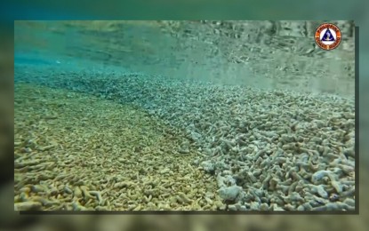 <p><strong>LIFELESS.</strong> The Philippine Coast Guard (PCG) releases a video showing the "extensive" damage on the seabed of the Rozul Reef. PCG spokesperson for the West Philippine Sea (WPS) Commodore Jay Tarriela said results of their surveys showed that the WPS marine ecosystem appeared lifeless, with minimal to no signs of life. <em>(Screen capture from PCG video)</em></p>