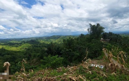 <p><strong>ENCOUNTER</strong>. The site of the encounter between government forces and communist rebels in Sitio Agdalusan, Barangay Jayubo, a remote area in Lambunao, Iloilo on Tuesday morning (Sept. 19, 2023). An Army soldier died in the encounter while another was wounded. <em>(PNA photo courtesy of Zarraga News Live Station)</em></p>