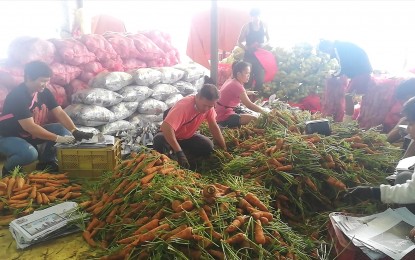 <p><strong>STEADY SUPPLY</strong>. Assorted highland vegetables are traded at the Benguet Agri Pinoy Trading Center in La Trinidad on Wednesday (Sept. 20, 2023). The Department of Agriculture has assured consumers that the region continues to produce a steady supply of assorted highland vegetables averaging 2 million kilograms daily. <em>(PNA photo by Liza T. Agoot)</em></p>