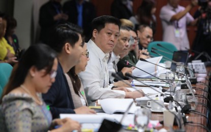 DSWD chief assures Senate to keep BP2 going