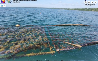 <p><strong>SEAWEED NURSERY</strong>. The seaweed nursery in Sitio Caniogan Barangay Tondol Anda town, Pangasinan in this updated photo. It was up for expansion after it was declared a regional nursery by the Bureau of Fisheries and Aquatic Resources on Sept. 19, 2023. <em>(Photo courtesy of BFAR Ilocos Region)</em></p>