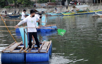 <p><strong>CLEANUP</strong>. A volunteer cleans up the Antiao River in Catbalogan City, Samar in this Sept. 20, 2023 photo. The Department of Environment and Natural Resources (DENR) regional office here has signed an agreement with 98 government agencies, private groups and civil society organizations to carry out a five-year rehabilitation of the river. <em>(Photo courtesy of DENR Region 8)</em></p>