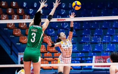 <p><strong>HITTER.</strong> University of Santo Tomas player Regina Jurado (No. 18) tries to score against College of Saint Benilde's Michelle Gamit during the 2023 Shakey’s Super League (SSL) Collegiate Pre-Season Championship Season 2 at the Filoil EcoOil Centre in San Juan on Monday (September 25, 2023). UST won the match, 25-13, 22-25, 25-12, 25-22. <em>(Photo courtesy of Shakey's Super League)</em></p>