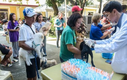 <p><strong>VACCINATION.</strong> Personnel of the Pangasinan Provincial Veterinary Office administers anti-rabies vaccines to pets in Lingayen, Pangasinan on Thursday (Sept. 28, 2023). The Department of Health Center for Health Development in Ilocos Region has already recorded 21 rabies cases in the region from Jan. 1 to Sept. 16 this year, six of which were recorded in Pangasinan.<em> (Photo courtesy of the Office of Pangasinan Provincial Veterinary)</em></p>