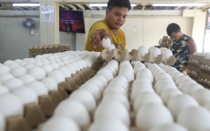 <div class="xdj266r x11i5rnm xat24cr x1mh8g0r x1vvkbs x126k92a">
<div dir="auto"><strong>ENOUGH SUPPLY. </strong>Store workers arrange trays of eggs at the Blumentritt Market in Manila on Sept. 29, 2023. The DA on Friday (Oct. 6, 2023) said it sees a slight hike in egg prices and its supply at 36 million per day remains stable.<em>(PNA photo by Yancy Lim)</em></div>
</div>
<div class="x11i5rnm xat24cr x1mh8g0r x1vvkbs xtlvy1s x126k92a"> </div>