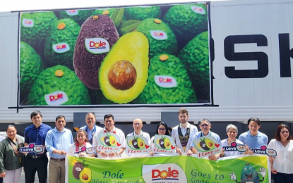 Initial shipment of PH avocados sets sail to S. Korea