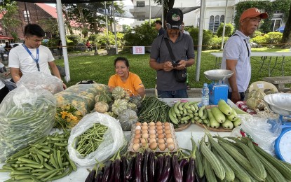 <div dir="auto"><strong>KADIWA STORE</strong>. Fresh agricultural products are sold at the Kadiwa pop-up bazaar in front of the Ilocos Norte Capitol on July 17, 2023. The same local products are brought to Metro Manila as part of the producer-to-consumer (P2C) program of the provincial government, linking MSMEs and farmers directly to consumers. <em>(PNA file photo by Leilanie Adriano)</em></div>