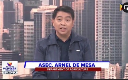 <p>DA Assistant Secretary Arnel de Mesa <em>(Screengrab from PTV)</em></p>