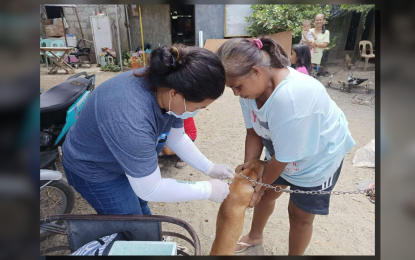 Ilocos Norte LGUs urged to help eradicate rabies