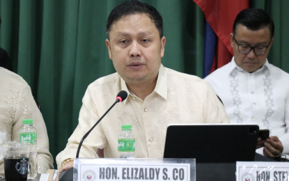 <p>House Appropriations Committee Chairman Elizaldy Co<em> (Photo courtesy of House Press and Public Affairs Bureau)</em></p>