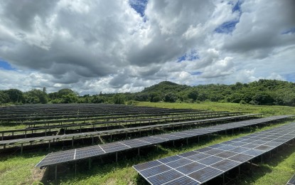 Cut red tape for more renewable energy investments, says Zubiri