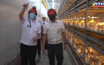 <p><strong>MEGAFARM PROJECT.</strong> President Ferdinand R. Marcos Jr. (right) is shown the state-of-the-art facilities of the Magnolia Poultry Farm in Hagonoy, Davao del Sur on Thursday (Oct. 12, 2023). Marcos said industrializing the agricultural sector is key to realizing his administration’s goal of attaining food sufficiency and food security in the country. <em>(Screenshot from Radio Television Malacañang)</em></p>