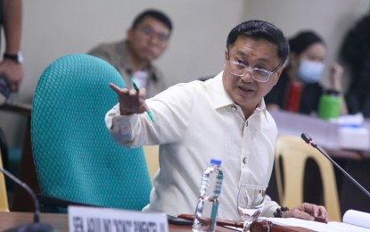 <p>Senator Francis Tolentino <em>(Photo courtesy of Senate PRIB)</em></p>