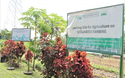 Army demo farm promotes food production, self-sufficiency