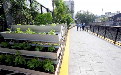 <p><strong>'MODEL' PARK.</strong> The Tripa de Gallina features paved and landscaped easement, vegetable beds and plant racks, among others. The linear park will be the model for future developments of the waterway under the Tripa de Gallina urban renewal initiative, acting MMDA chair Don Artes said Tuesday (Oct. 17, 2023). <em>(PNA photo by Avito C. Dalan)</em></p>