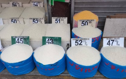 <p><strong>RICE PRICES.</strong> Harvesting of rice in Negros Oriental has already started and is expected to bring down the prices of the staple in the local markets, a Department of Agriculture official says on Tuesday (Oct. 17, 2023). Recent monitoring shows a slight adjustment of rice prices since the lifting of the mandated price cap. <em>(PNA file photo by Mary Judaline Flores Partlow)</em></p>