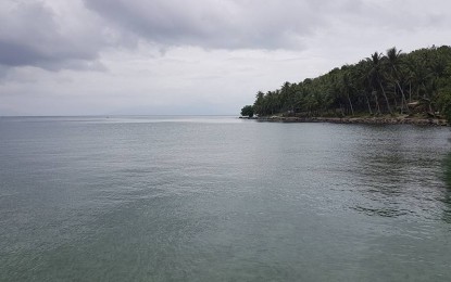 <p><strong>FUTURE WHARF</strong>. The site of the proposed major port in Babatngon, Leyte identified as the Eastern Visayas transshipment hub. The feasibility study and drafting of the master plan have already started for the project. (<em>Photo courtesy of Oliver Cam</em>)</p>