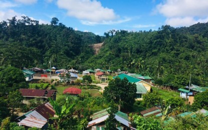 <p><strong>BIRD HAVEN</strong>. An upland community in Kagbana village in Burauen, Leyte. The forest nearby has been identified as a future release site for Philippine eagles. <em>(Photo courtesy of Burauen local government)</em></p>