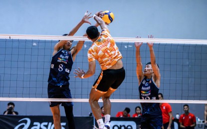 <p><strong>BLOCKED.</strong> Davis Paint-Adamson's Mark Leo Coguimbal (No. 8) blocks Philippine Coast Guard's Lerry Francisco during the Spikers’ Turf Invitational Conference at the Paco Arena in Manila on October 22, 2023. The Soaring Falcons won, 25-19, 25-22, 25-14. <em>(Premier Volleyball League photo)</em></p>