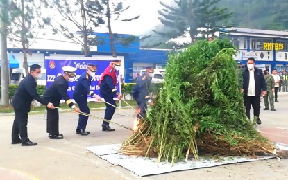 <p><strong>MAJOR HAUL.</strong> Philippine Drug Enforcement Agency–Cordillera Director Julius Paderes (extreme right) joins other law enforcement officials during the ceremonial burning of marijuana plants on Oct. 19, 2023 in Camp Dangwa, La Trinidad, Benguet. Paderes bared on Tuesday (Oct. 23) that PHP771 million worth of marijuana had been destroyed by government operatives in the region from January to Oct. 16. <em>(PNA photo by Liza T. Agoot)</em></p>