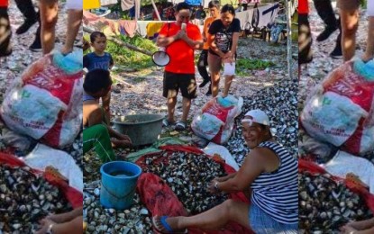 <p><strong>RED TIDE</strong>. Personnel from the Madridejos town's agriculture office hold an information drive to the fisherfolks regarding the presence of red tide in the municipal waters in this undated photo. Mayor Romeo Villaceran on Tuesday (Oct. 24, 2023) said fishermen in their municipality are told not to gather and eat seashells and "alamang" (krill) to avoid paralytic shellfish poisoning. <em>(Photo courtesy of the Municipality of Madridejos)</em></p>